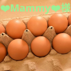 ❤︎Mammy❤︎様専用 訳あり卵40個 クール便