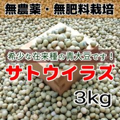 希少 在来種 青大豆 無農薬無肥料栽培 サトウイラズ3kg
