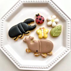 着色料不使用　昆虫のバースデーセット