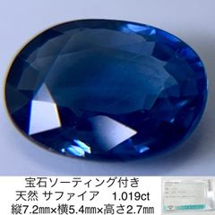 宝石ソーティング付き 天然 サファイア （ サファイヤ ） 1.019ct 縦