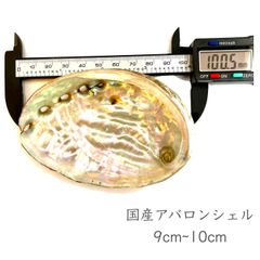 国産【 アバロン シェル 】9cm~10cm 天然 自然 貝殻 皿 スマッジング 浄化 お清め 瞑想 空間 ホワイト セージ パロサント ミルラ フランキンセンス パワーストーン インテリア おしゃれ 香皿 灰皿