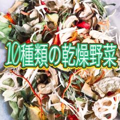 美味‼︎野菜栽培士が育てた【10種類の乾燥野菜MIX 100g 】無添加無着色