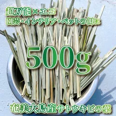 2024年最新】サトウキビ 食用の人気アイテム - メルカリ