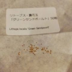 【種子50粒】リトープス・露花玉「グリーンサンドポールト」