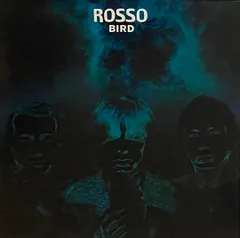 rosso bird レコード 2025年最新】rosso BIRD レコードの人気アイテム - メルカリ