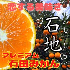 いしじみかん　2.5キロ 有田みかん