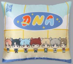 [중고] 쿠션 본체 BTS(방탄소년단) 쿠션 [TinyTAN FUN PARK 2023] DNA 갈라폰 S상