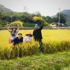 農薬不使用】兵庫県産ハリマモチ5kg 精米 - メルカリ