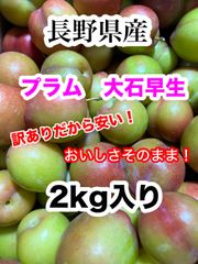 【クール便】長野県産　プラム大石　訳あり品　2kg