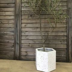 コンクリート 角型プランター 大きめ グレージュ◻︎450㎜ ACTUS