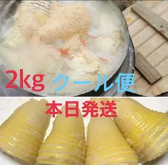 若者の大愛商品 2025年最新】徳島県産タケノコの人気アイテム メルカリ - 野菜