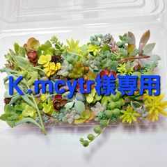 Ｋ.mcytr様専用