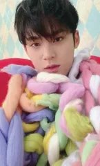 【中古】コレクションカード(男性) SEVENTEEN/MINGYU(ミンギュ)/CD「JAPAN SPECIAL SINGLE『あいのちから』」UNIVERSAL MUSIC STORE特典フォトカード