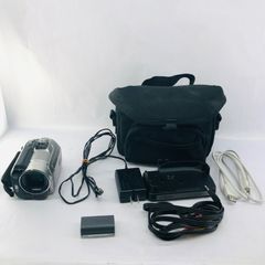 SONY ビデオカメラ Handycam HDR-CX520V バッグ SD - メルカリ