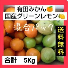 国産グリーンレモン　みかん　混合パック　箱込み5キロ（内３キロみかん、2キロレモン）　和歌山県　送料無料　マルマ農園のサムネイル