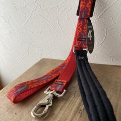 旧型ゲート式１２０cmリード　ゴーゴーゲッコー柄Go Go Gecko　25ｍｍ幅　LUPINE　ルパイン　パッド付き　アメリカ製　軽量　丈夫
