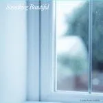 V.A. (ALPACA SPORTS, LETTING UP DESPITE GREAT FAULTS etc...) / SOMETHING BEAUTIFUL (CD) アルパカ・スポーツ レッティング・アップ・ディスパイト・グレイト・フォールツ