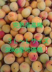 南高梅　30k/g　完熟(特用)和歌山県産