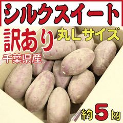 さつまいも シルクスイート 5kg（土付き･訳あり丸Ｌサイズ）のサムネイル