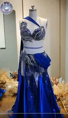 新品 未使用 新作 ベリーダンス衣装 ブラスカート アクセサリー付 豪華 オーダーメイド