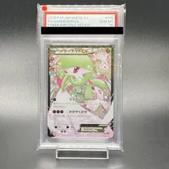 [PSA10] サーナイトEX RR 019/032 保護ケース付き PSA10] サーナイトEX RR 019/032 保護ケース付き サーナイトEX