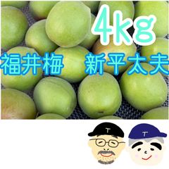 白加賀梅3L青梅加工用 4キロ - メルカリ