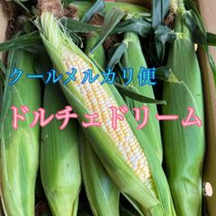 【今季最終】ドルチェドリーム【クールメルカリ便】のサムネイル