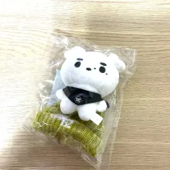 THE BOYZ ドボイズ ドボ ニュー ぬいぐるみ 人形 ドール トレカ THE BOYZ ドボイズ ソウルコン ミニドール ぬいぐるみ トレカ