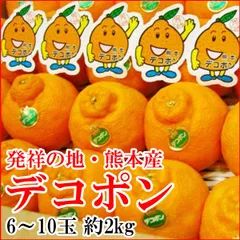 10kg×2箱届く【限定数】超特価！不知火 しらぬい 20kg デコポン