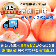 信州の大玉桃〜選りすぐりの１品種〜【内容量】約1.5kg以上【配送方法】クール配送【サイズ】L以上【品目】桃（もも）【品種】当店お任せ【産地】長野県【規格】家庭用A品【詰め方】フルーツキャップ詰め【配送までの日数】1～4日