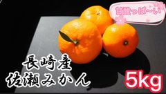 伊木力佐瀬みかん 秀品M ５kg 酸味と甘味のバランスが美味しい❗