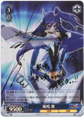 ヴァイスシュヴァルツ 空の下の相関図 愛理 SP - メルカリ