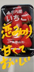 山形県庄内産           恋みのり  2パック