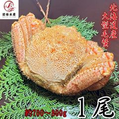 【母の日ギフト！】大型毛蟹　1尾（700-800ｇサイズ）　北海道産　ボイル　付け足　一部訳あり　冷凍　お中元　お歳暮　母の日　父の日　フードロス　毛蟹　毛ガニ　けがに