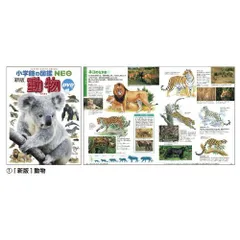 小学館の図鑑ＮＥＯ　(14)昆虫２NEOｺｳﾁｭｳ3【小学館】