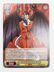☆ヴァイスシュヴァルツ　オーバーロード　隠されし力　デミウルゴス　HRR