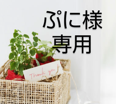 ぷに様専用です〜ルリタマ3つ