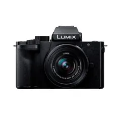 2025年最新】lumix g100の人気アイテム - メルカリ