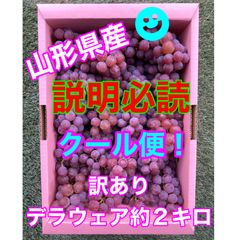 【訳あり】🧊クール便🧊山形県産ぶどう　デラウェア約2キロ