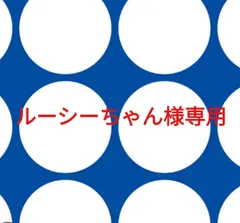 ルーシーちゃん様専用ページです。