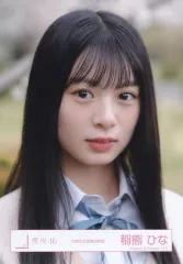 【中古】生写真(乃木坂46) 櫻坂46/稲熊ひな/バストアップ/櫻坂46ランダム生写真【四期生お披露目制服】