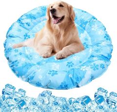 Item thumbnail for item 31fa0f65-949c-42fa-807b-3a1774aa370b