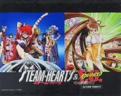 【中古】タペストリー 集合 B2タペストリー 「PS5/Switchソフト スチーム・ハーツ&アドヴァンスト ヴァリアブル・ジオ サターントリビュート」 ソフマップ購入特典