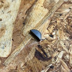 トライアンフ　ウッドラフ　キー　タイミング ピニオン ビンテージ　Triumph プレユニット　ユニット　70-1580　(WW28714)