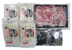 亀山名物 みそ焼きうどん豚セット 4人前 QA23S-030