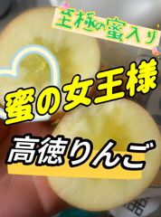 希少品種　幻のりんご　高徳りんご　青森県産　蜜入り　2.5kg前後 14玉入り