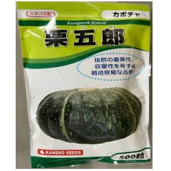 カネコ種苗　栗五郎　南瓜　５００粒