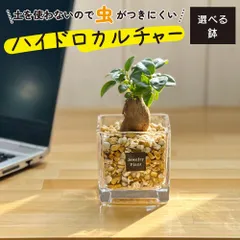 2025年最新】ハイドロ スクエアの人気アイテム - メルカリ