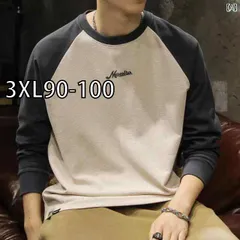 [3XL90-100]メンズ 男性用 ファッション オシャレ シンプル 大人 かっこいい ストリート ヒップホップ HipHop ヘビーウェイト 長袖 T シャツ 秋冬 ルーズ レトロ アメリカンボトリング シャツ 紳士服