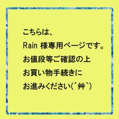 【ご予約】Rain ⋆⁺₊⋆様ご予約専用ページです。お値段等ご確認の上お買い物手続きにお進みくださいヽ(｀▽´)/